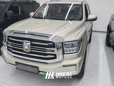 2023 Tank 500 New Energy 2.0T Hi4-T - car from China