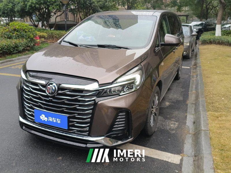 Buick GL8 Facelift Land Business Class 2.0T Luxury Edition 7-seater