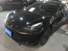 Tesla Model 3 Standard Range Edition 3D6 - фото 1