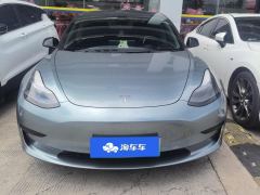 Tesla Model 3 556km Rear-Wheel Drive Edition - фото 3