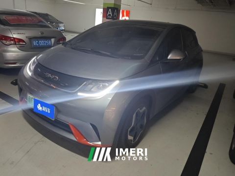 2021 BYD Dolphin 405km Stylish Edition - автомобиль из Китая