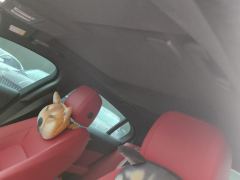 Jaguar XEL P250 Enterprising Sport Edition - ფოტო 15