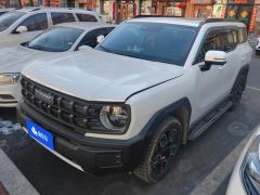 Haval Cool Dog 1.5T 2WD Edition - photo 1