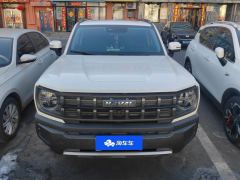 Haval Cool Dog 1.5T 2WD Edition - photo 3