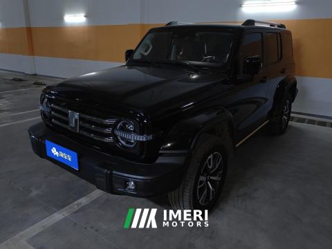 2021 Tank 300 City Edition 2.0T Stylish - car from China