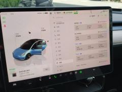 Tesla Model 3 556km Rear-Wheel Drive Edition - ფოტო 20