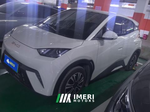 2023 BYD Seagull 305km Vitality Edition - car from China