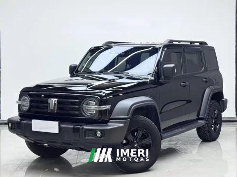 2025 Tank 300 2.0T Conquistador Gasoline - автомобиль из Китая