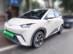 BYD Seagull 305km Free Version - ფოტო 1