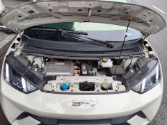 BYD Seagull 305km Free Version - ფოტო 16
