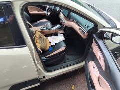 BYD Seagull 305km Free Version - ფოტო 19