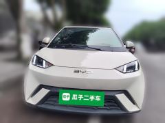 BYD Seagull 305km Free Version - ფოტო 2