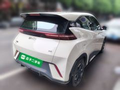 BYD Seagull 305km Free Version - ფოტო 4