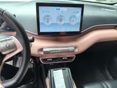 BYD Seagull 305km Free Version - ფოტო 9
