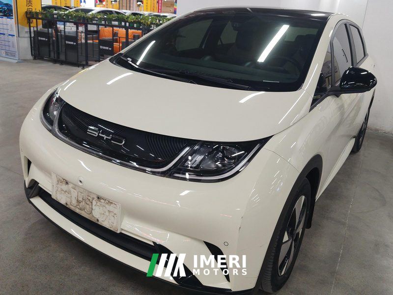 BYD Dolphin 420km Stylish Edition - ავტომობილი ჩინეთიდან
