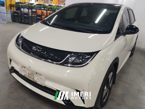 2023 BYD Dolphin 420km Stylish Edition - ავტომობილი ჩინეთიდან