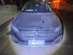 Volkswagen Passat 330TSI Star Deluxe Edition - ფოტო 3