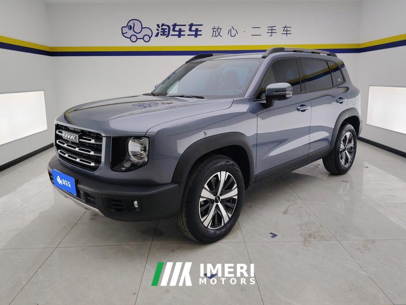 Haval Great Wall Big Dog Great Wall Dog 1.5T Two-wheel drive Labrador version