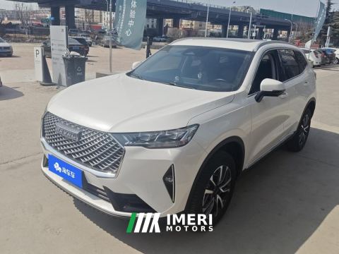 2024 Haval H6 1.5T Two-Wheel Drive Classic Edition - car from China