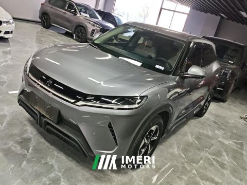 2024 BYD Yuan UP 401km Leading Edition - car from China