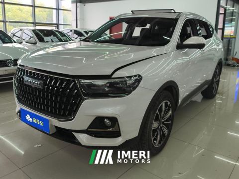 2023 Haval H6 Guochao Edition 1.5T 2WD Champion Edition - car from China