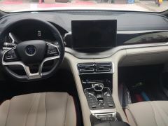 BYD Song PLUS DM-i 51KM Premium Edition - photo 16