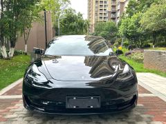Tesla Model 3 556km Rear-Wheel Drive Edition - ფოტო 2