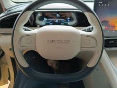 Geely Star Wish 310km Edition - ფოტო 18
