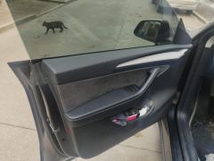 Tesla Model Y 554km Rear-Wheel Drive Edition - photo 12