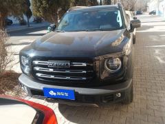 Haval Great Wall Big Dog Great Wall Dog 1.5T 2WD Edge Pastoral Edition - photo 3