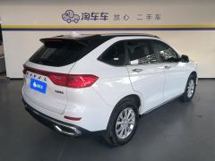 Haval M6 PLUS 1.5T Luxury Version - ფოტო 2