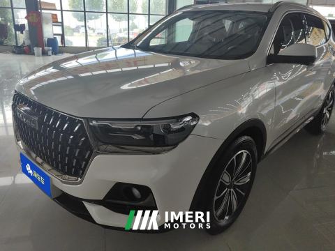 2023 Haval H6 Guochao Edition 1.5T 2WD Champion Edition - car from China