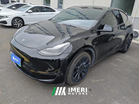 2021 Tesla Model Y Standard endurance rear-wheel drive - ავტომობილი ჩინეთიდან
