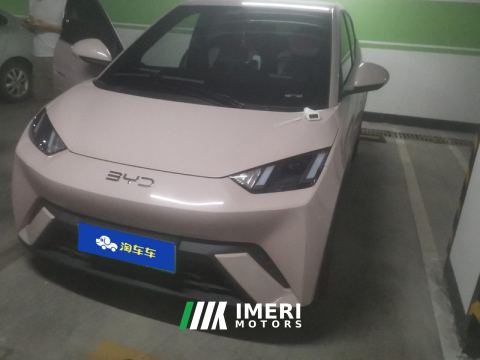 2024 BYD Seagull Honor Edition 305km Free Version - car from China