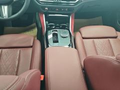 BMW 3 Series 320Li M Sport Package - photo 19