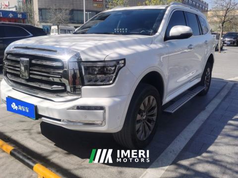 2023 Tank 500 New Energy 2.0T Hi4-T - car from China