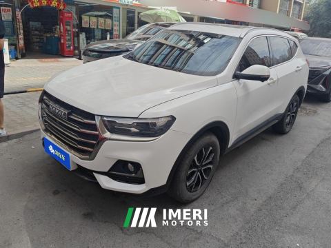 2023 Haval H6 Guochao Edition 1.5T 2WD Urban Edition - car from China