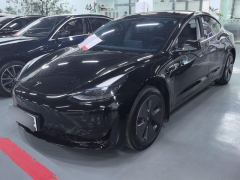 Tesla Model 3 556km Rear-Wheel Drive Edition - ფოტო 1