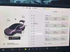 Tesla Model 3 556km Rear-Wheel Drive Edition - ფოტო 20
