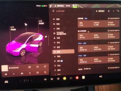 Tesla Model Y 545km Rear-Wheel Drive Edition - ფოტო 20