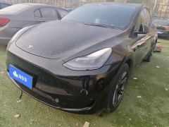 Tesla Model Y 545km Rear-Wheel Drive Edition - ფოტო 1
