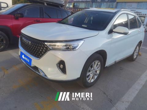 2021 Haval M6 PLUS 1.5T Dual-clutch luxury intelligent connected