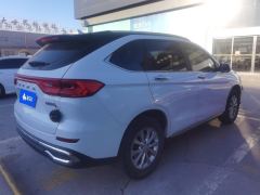 Haval M6 PLUS 1.5T Luxury Version - фото 2