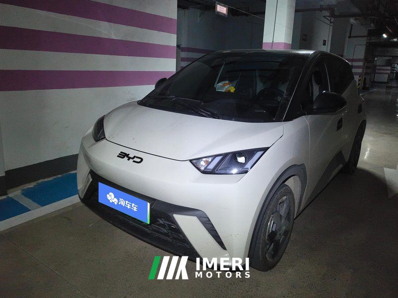 BYD Seagull Honor Edition 305km Free Version - car from China