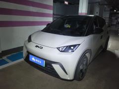 BYD Seagull Honor Edition 305km Free Version - photo 1
