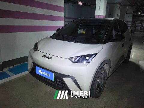 2024 BYD Seagull Honor Edition 305km Free Version - ავტომობილი ჩინეთიდან