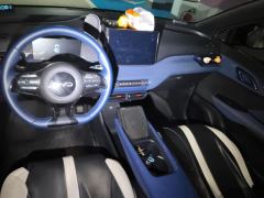 BYD Seagull Honor Edition 305km Free Version - photo 16