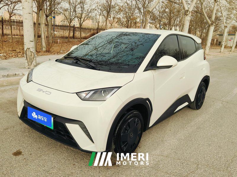 BYD Seagull Honor Edition 305km Vitality Edition
