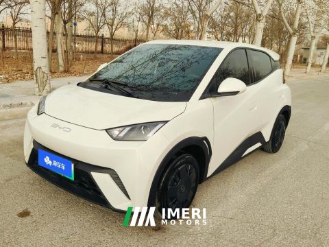 2024 BYD Seagull Honor Edition 305km Vitality Edition - ავტომობილი ჩინეთიდან