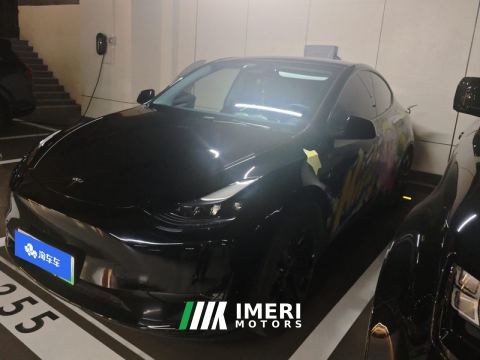 2021 Tesla Model Y Standard endurance rear-wheel drive - car from China